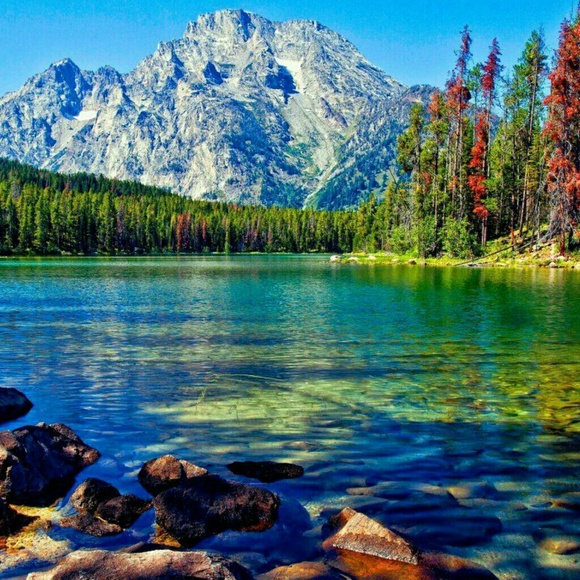 Hello, Im Jerome Caldwell. - Picture 2 of 8