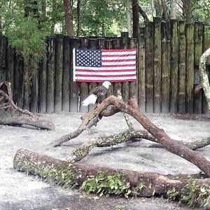 Meet your Posher, Kenneth