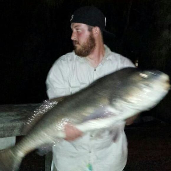 Meet your Posher, David - Picture 1 of 1