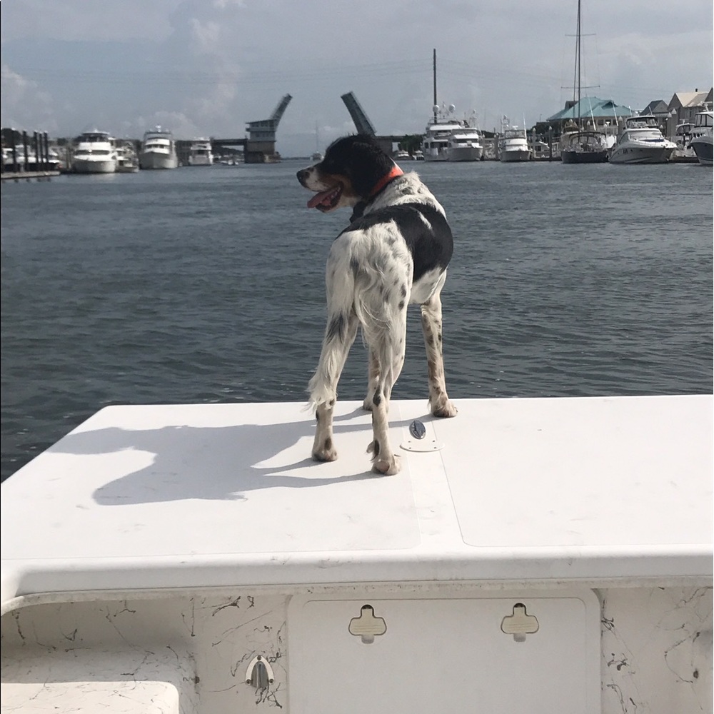 Meet your Posher, Farra