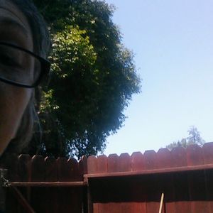 Meet your Posher, Frankie