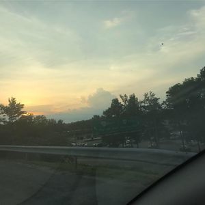 Meet your Posher, Tazia