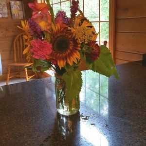 Meet your Posher, Colleen