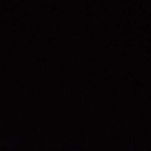 Meet your Posher, Paul