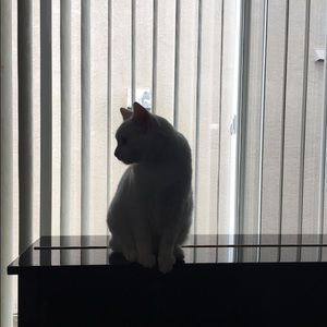 Meet your Posher, Angela