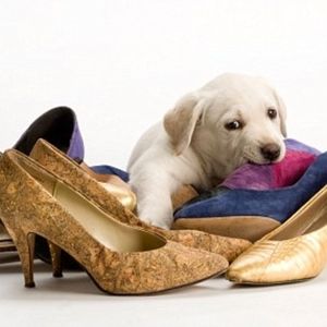 Meet your Posher, Cora