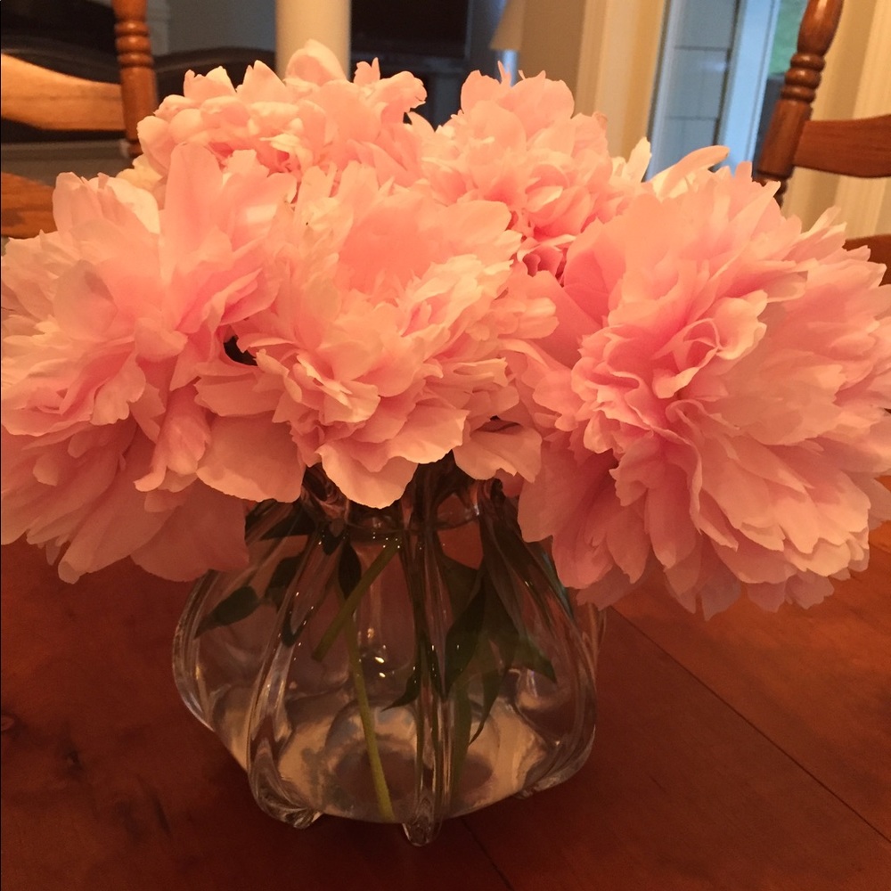 Meet your Posher, Kaitlin