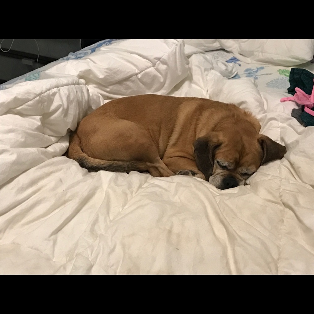 Meet your Posher, Caroline