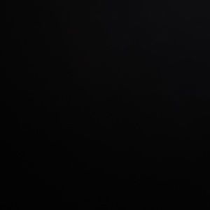 Meet your Posher, Weston