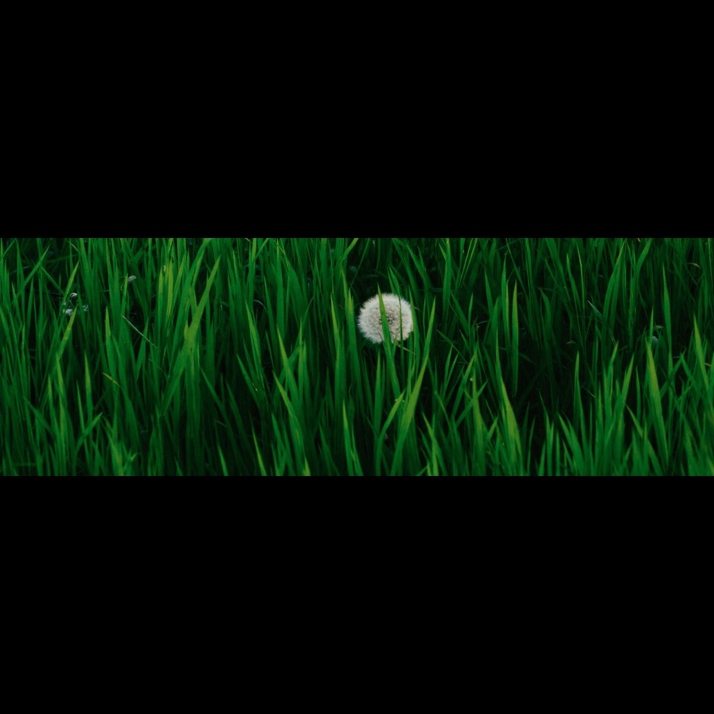 Meet your Posher, Janice