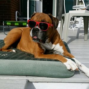 Meet your Posher, Audrey