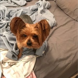 Meet your Posher, Kristy