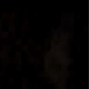 Meet your Posher, Harrison