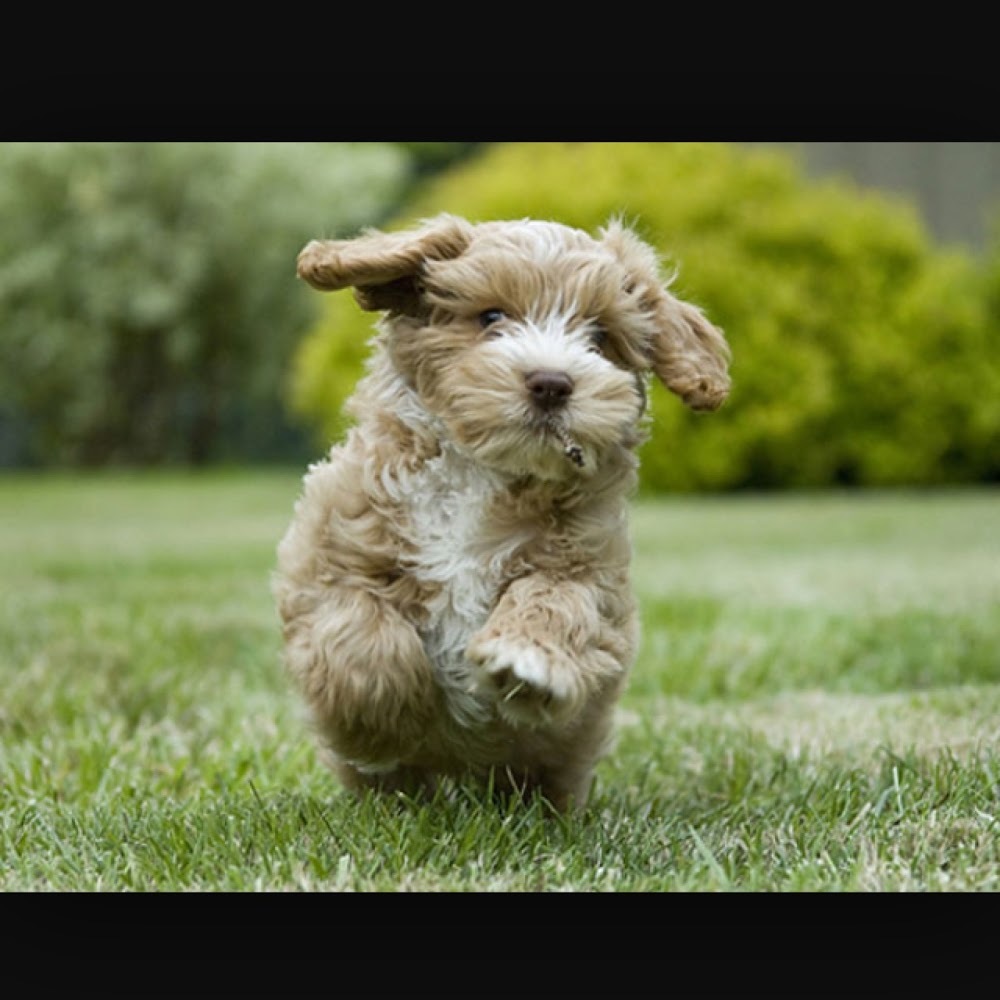 Meet your Posher, Meghan