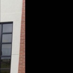 Meet your Posher, Rylee