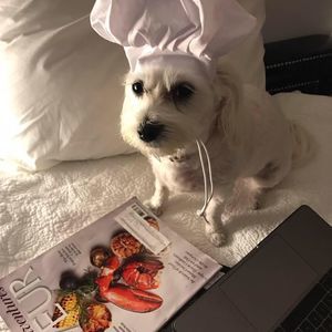 Meet your Posher, Flavia