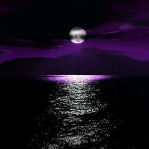 Meet your Posher, Trina