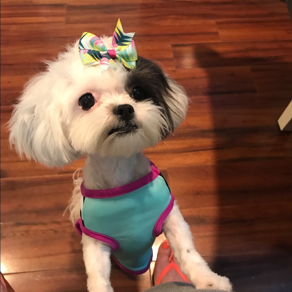 Meet your Posher, Jessie