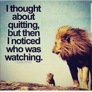 Meet your Posher, Ronnie