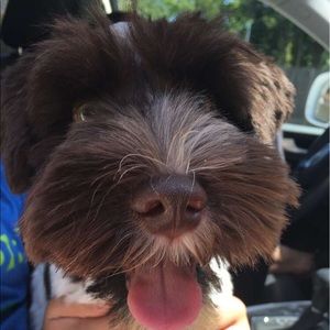 Meet your Posher, Emma