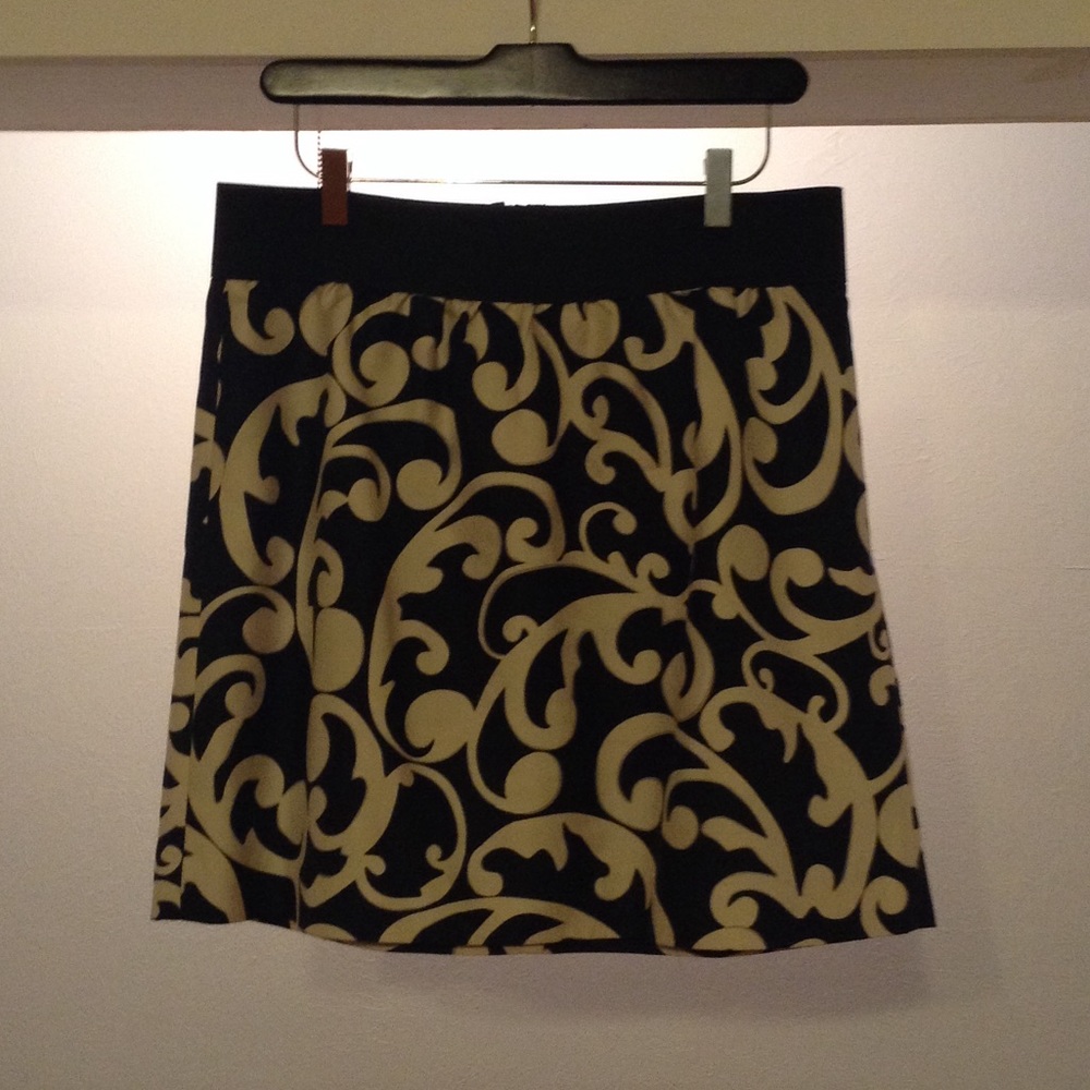 Ann Taylor Loft skirt.