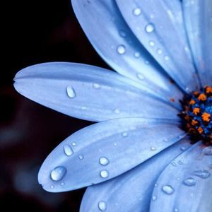 Meet your Posher, Carly