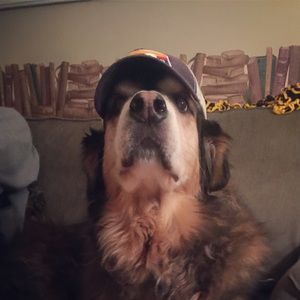 Meet your Posher, Dolores