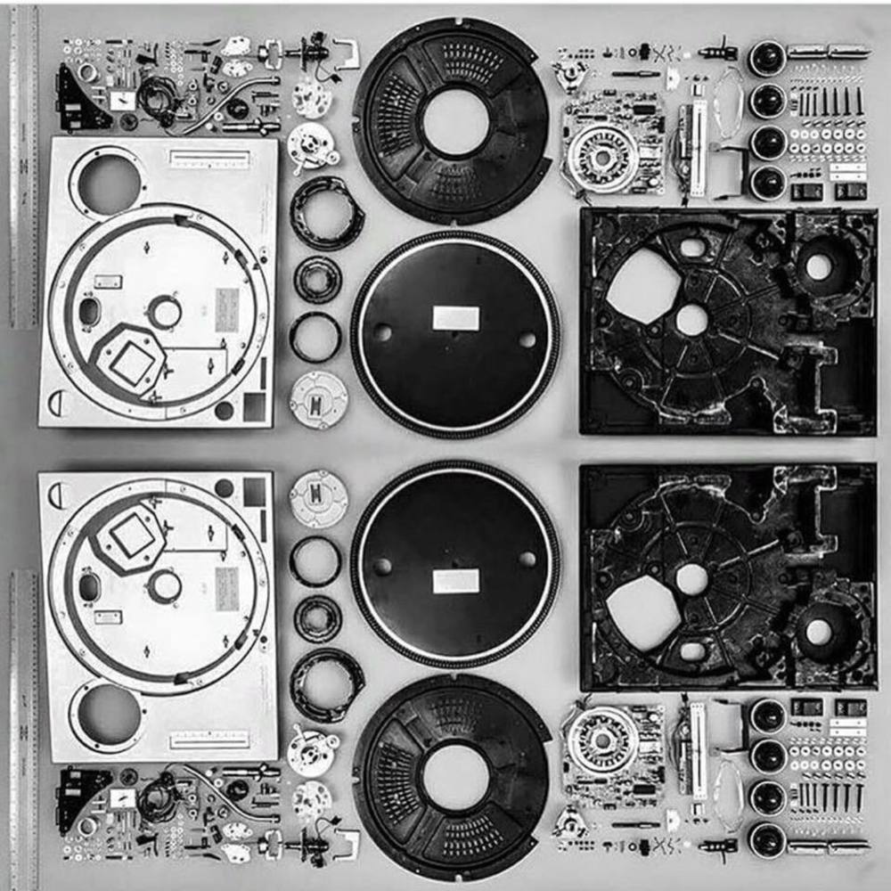 Meet your Posher, Terrell