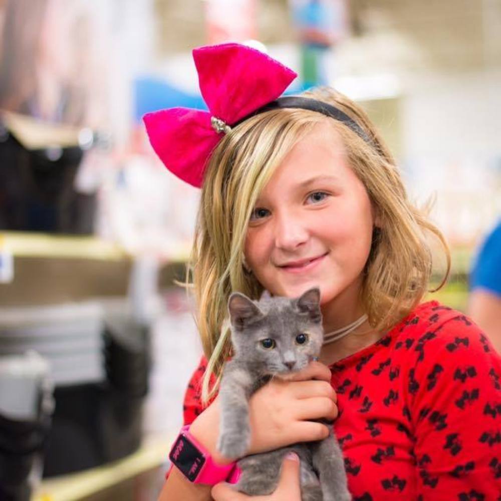 Meet your Posher, Ava