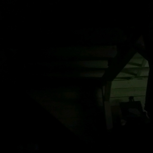 Meet your Posher, Jake - Picture 1 of 1