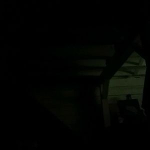 Meet your Posher, Jake