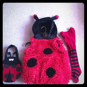 Ladybug costume