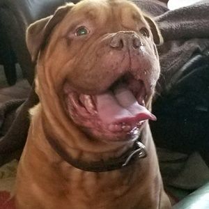 Meet your Posher, Pat