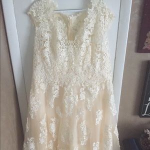 Wedding dress size 22