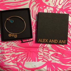 Alex and Ani December Bracelet