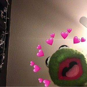 Meet your Posher, Audrey