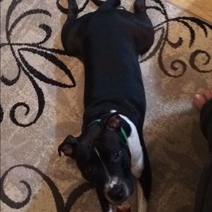 Meet your Posher, Kristy