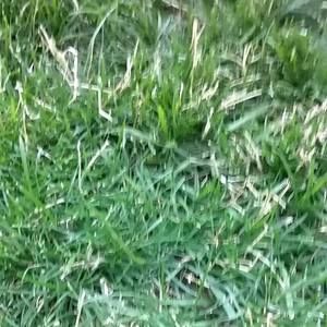 Meet your Posher, Max