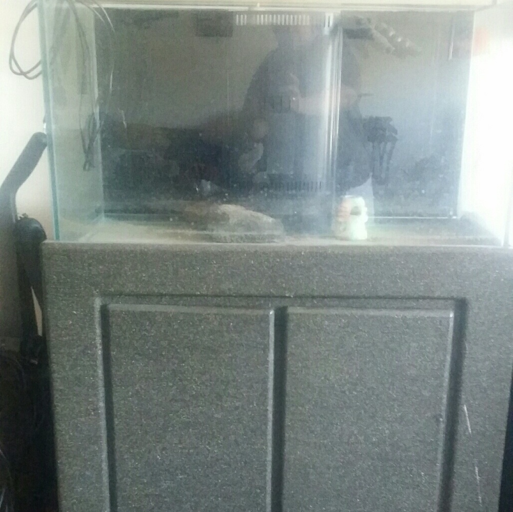 58 gallon fish tank