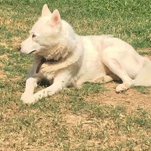 Meet your Posher, Ruth