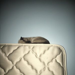 Meet your Posher, Taylor