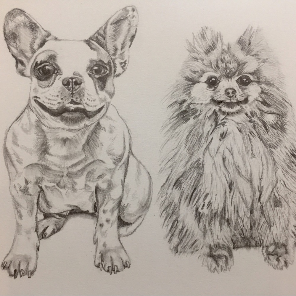 Custom Pet Portraits!