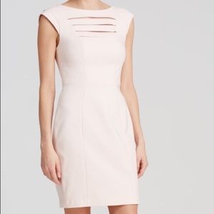 French connection blush dress