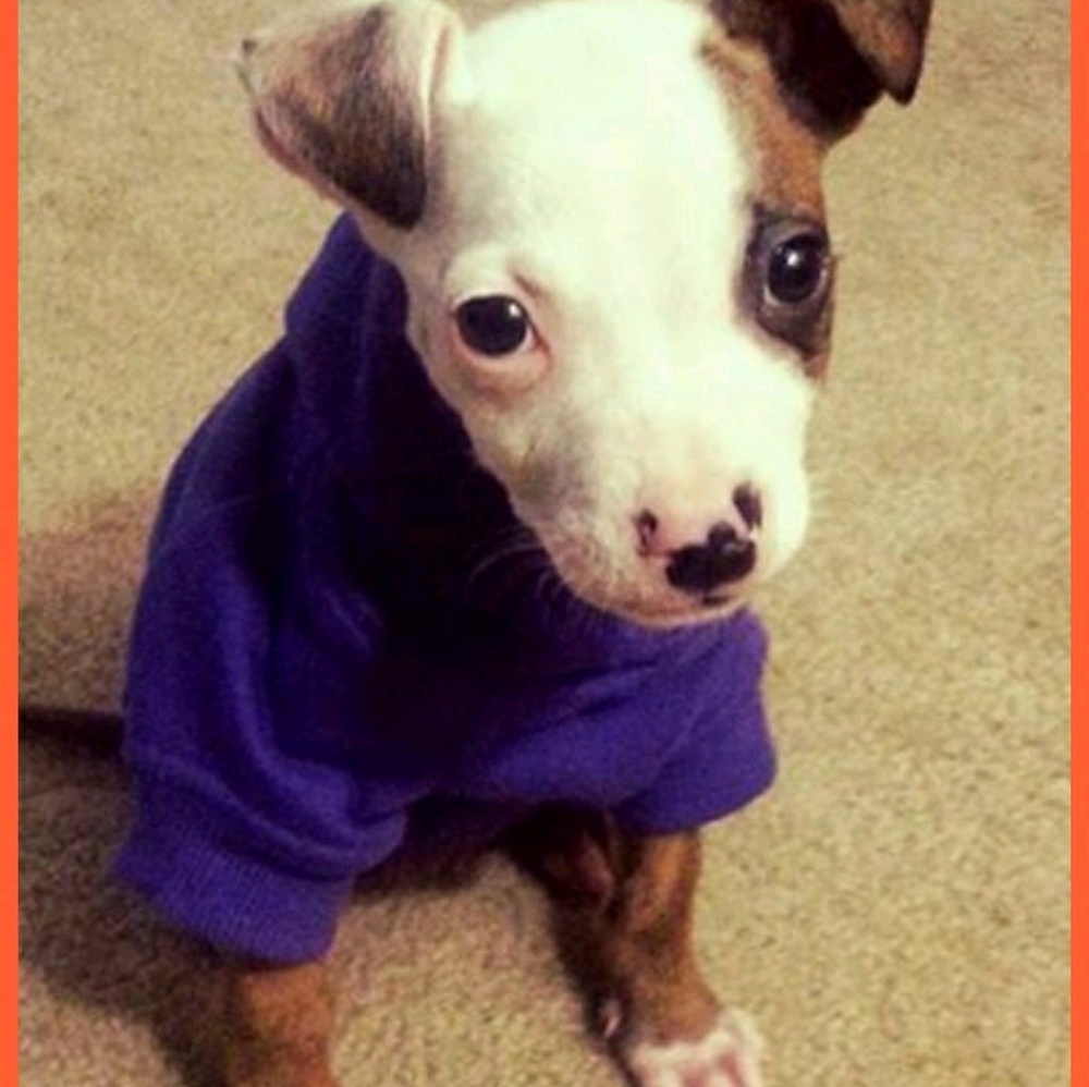 Meet your Posher, Chelsea