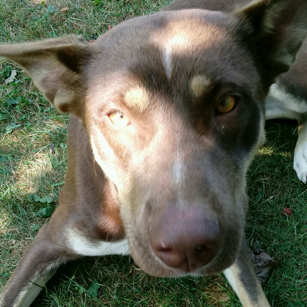 Meet your Posher, Tashawna