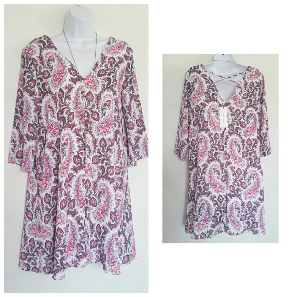 Nwt babydoll spring trapeze paisley & Pink dress