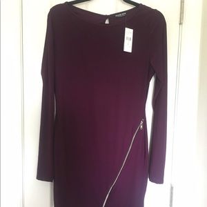 Plum Long Sleeve Mini Dress