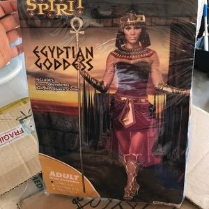 Halloween costume- Egyptian goddess