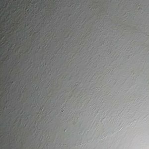 Meet your Posher, Shavon