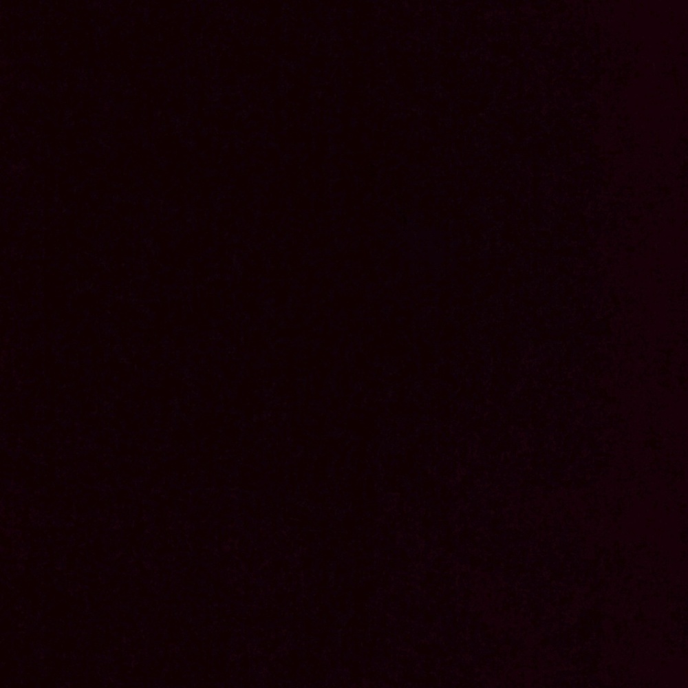 Meet your Posher, Tessa